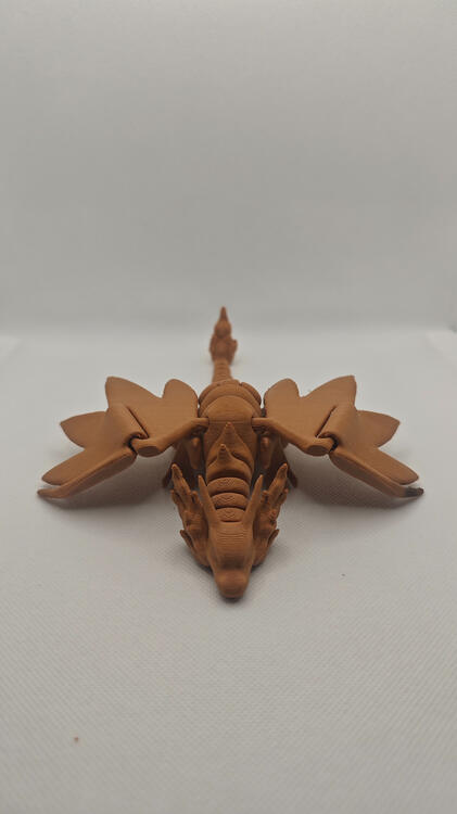 Mega Dracaufeu Dos