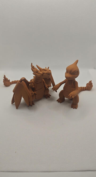 Reptincel et Mega Dracaufeu