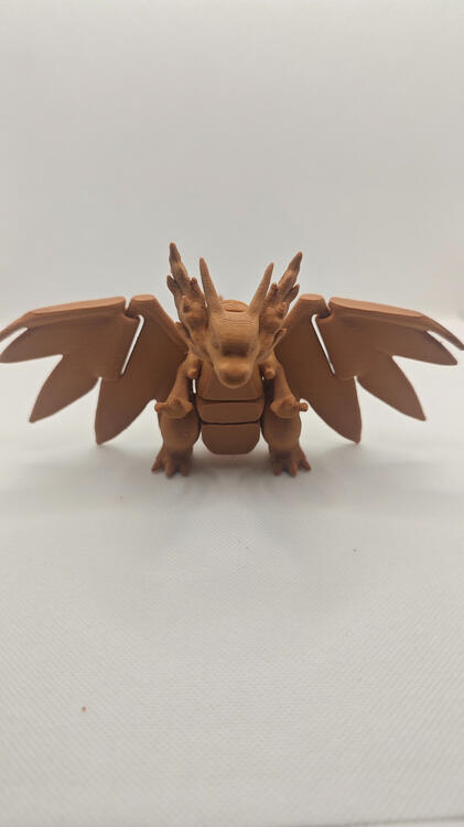 Mega Dracaufeu Face