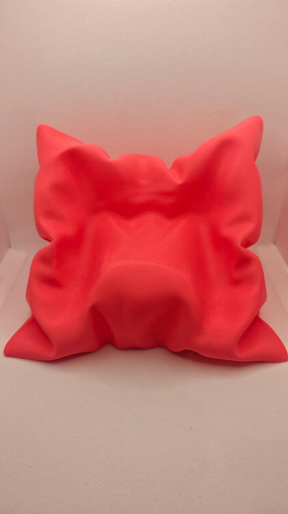 Coussin Rose Dos