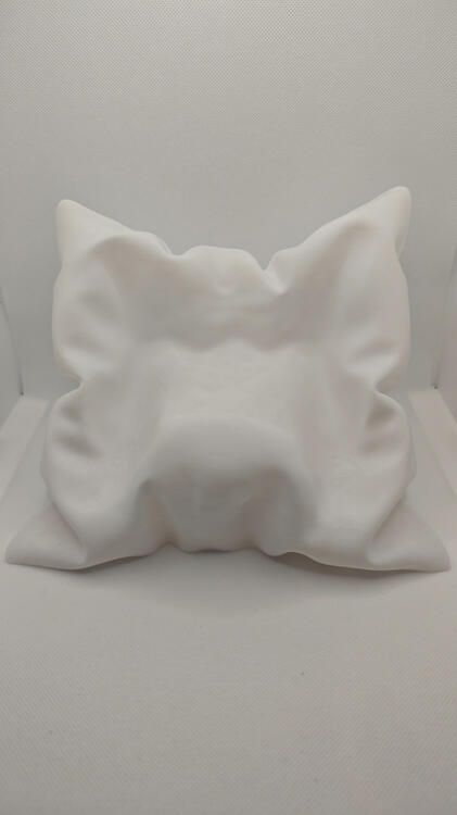 Coussin Blanc Dos