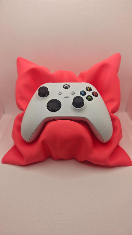 Coussin Rose Face